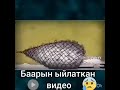 Баарын ЫЙЛАТКАН видео😥Сөзсүз КӨР👆