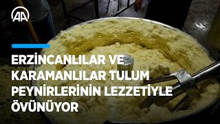 Erzincanlılar ve Karamanlılar tulum peynirlerinin lezzetiyle övünüyor