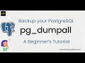 Backup PostgreSQL Database: pg_dumpall | A Beginner's Tutorial