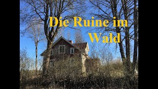 Die Ruine im Wald -  Auf Schatzsuche im Geisterhaus