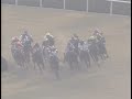 ダイイチルビー 1991年 第8回マイルチャンピオンシップ gi 優勝馬：ダイタクヘリオス 実況：ラジオたんぱ