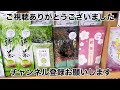 【大井川鐵道】きかんしゃトーマス大井川第一橋梁渡る