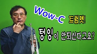 트럼펫 텅잉 연습! 이렇게 해보세요 -  딱 5분만 투자하세요..