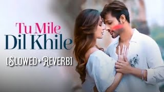 Tu Mile Dil Khile [Slowed + Reverb] Stebin Ben | Asees Kaur | Lofi Version