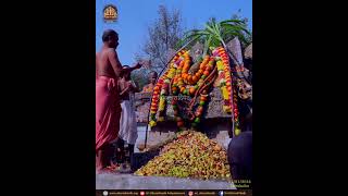 Sri Raghoottamateerthara Poorvaradhana Mahotsava.Panchamrutabhisheka.@ Uttaradimath, Thirukoilur.