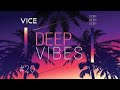 VICE - DEEP VIBES #20