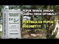 Manfaat Pupuk Dolomit Bagi Kelapa Sawit