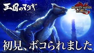 【MHサンブレイク】初見#24 ナルガクルガ希少種の初見ソロ シールドヘビィで挑んでみたら…【モンハンライズ】