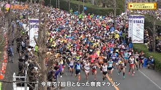 奈良市ニュース　1万6000人が力走！奈良マラソン2016