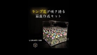 LUNARIUM(ルナリウム) 幻想的な光る箱庭クラフトキット/and3-luna001