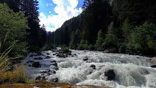 Relax and Regenerate with the Dynamic Water Sounds of a Wild Mountain River's Rapids