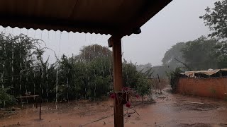 A chuva voltou forte aqui na roça, região  de Irecê BA.