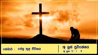 මෙනෙහි කිරීම : ජේසු තුළ ජීවිතය  – ශු. ලූක් 13: 1 – 9