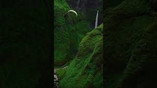 Nature full-screen status video 🌱 4k video🌍 HD - 2023 #Ind_nature