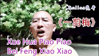 xue hua  piao piao一剪梅雪花飘飘 Xue Hua Piao Piao Bei Feng Xiao Xiao Dallas范哥翻唱小哥费玉清的一剪梅！