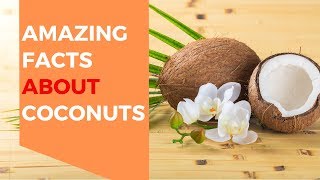 Top 24 Amazing Facts About Coconuts