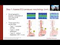 ANMS Clinical Virtual Webinar - Esophageal Manometry When, Why, and How