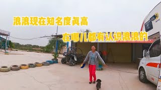 房车的小宠物比你有名是一种什么样的体验，人不如狗啊【肉肉夫妻房车记】