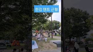 여의도 한강 텐트 근황