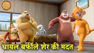 घायल बर्फीले शेर की मदत | Big Bablu Dablu Moral Story | Bablu Dablu Cubs | Boonie Bears Hindi