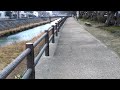 ウェザーリポート動画0131「路面・積雪の状況」＠鳥取市