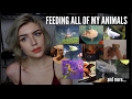 FEEDING ALL OF MY ANIMALS (Yes, I Do This Every Day) FEEDING ALL OF MY ANIMALS (Yes, I Do This Every Day)