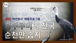 [자연탐사체험프로그램] 세계자연유산 순천만 습지에서 철새 탐사