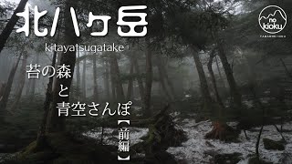 【登山】北八ヶ岳/苔の森と青空さんぽ/初心者にもおすすめ/北八ヶ岳の魅力満載！［前編］