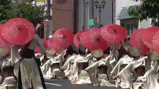 銭形よさこい2018伊予からの風純信連上市会場