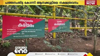 200ലേറെ ഔഷധസസ്യങ്ങൾ; കോന്നി ആനക്കൂട്ടിലെ നക്ഷത്രവനം കാഴ്ചക്കാർക്ക് പുത്തൻ അറിവേകുന്നു