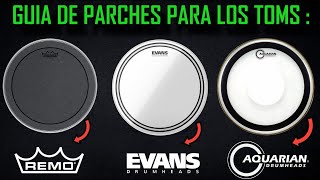 Que Parches Comprar Para Los Toms : Consejos - Distintos Modelos (Remo,Evans,Aquarian)