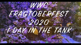 WWC Fragtoberfest 2020 Wins After 1 Day of Tank Life