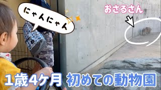 【 1歳4ヶ月 】初めての動物園！