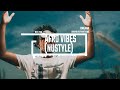 Afro Vibes  (25 house nustyle)