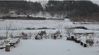 시골농막 쉼터에 1년을 살아보니 ~( 더보기란 참조)