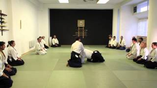 2015 Juba Nour Shihan _ Hellenic Birankai Seminar