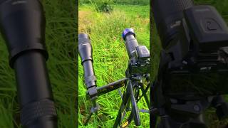 Nikon 70-300 mm lens vs 60X telephoto lens moon photography #short #shorts #ytshorts #photography