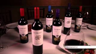 BAYSTATE WINE VIU MANENT 30