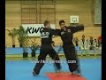 hapkido demo team germany.wmv