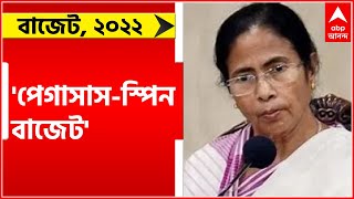 Union Budget 2022: 'সাধারণ মানুষের জন্য এই বাজেট একটা শূন্য মাত্র, পেগাসাস-স্পিন বাজেট', খোঁচা মমতার