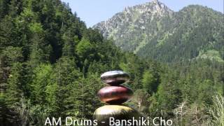 AM Drums - steel tongue drums - Banshiki Cho