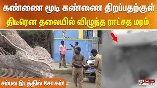 கண்ணை மூடி கண்ணை திறப்பதற்குள் - திடீரென தலையில் விழுந்த ராட்சத மரம் - சம்பவ இடத்தில் சோகம்!