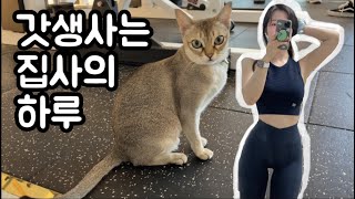 [Gym Vlog] | 여자 트레이너의 일상 | PT수업 | 운동 브이로그 | 헬스 브이로그 | 운동하는 집사