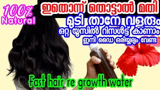 ഇതുവരെ അറിയാതെ പോയിരുന്നതും ചിലവൊട്ടുമില്ലാത്തതുമായ ഒരു കിടിലൻ ഹെർബൽ ഹെയർ ടോൺ | Hair Re Growth Water