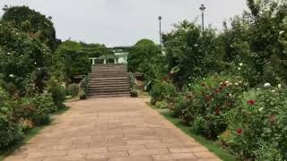 Sea View Park at Yokohama Yamate