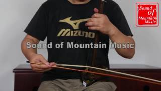 Professional Level Sandalwood Bass Erhu Instrument Chinese Voilin Fiddle With Accessories