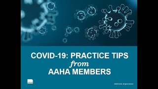 COVID-19: Practice Tips from AAHA Members (March Version)