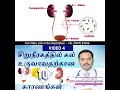 video 5 kidney stone 10 reasons in tamil சிறுநீரக கல் உண்டாக 10 முக்கிய காரணங்கள்