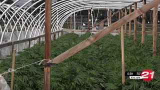 Deschutes County law enforcement raids two Bend-area marijuana farms, seize thousands of ...