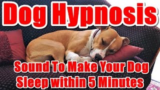 Dog Hypnosis - Sound To Make Your Dog Sleep within 5 Minutes.